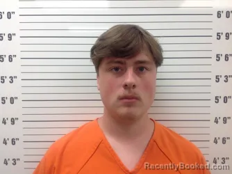 Booking photo from Pickens County, Georgia