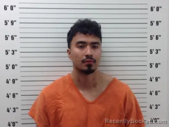 Mugshot of Jonathan Alexis Macedonio-Gomez booked in Pickens County, Georgia on August 16, 2026