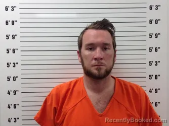 Mugshot of JAMES DEAN PRITCHARD booked in Pickens County, Georgia on June 20, 2026