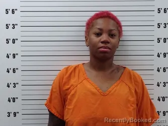 Mugshot of Jamela Rochelle Timmons booked in Pickens County, Georgia on October 23, 2026