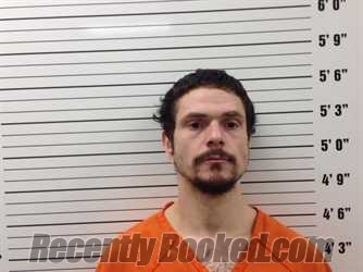 Booking photo from Pickens County, Georgia