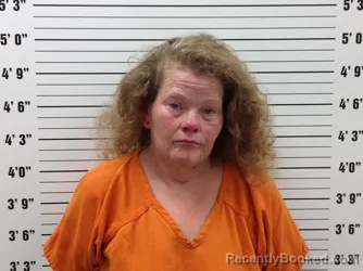 Mugshot of KIMBERLEY LEIGH CLARK booked in Pickens County, Georgia on July 13, 2026