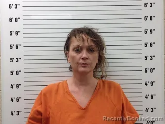 Mugshot of Lori Ann Headrick booked in Pickens County, Georgia on August 30, 2026
