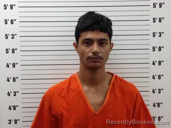 Mugshot of Luis G Mejia booked in Pickens County, Georgia on July 30, 2026