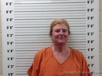 Mugshot of LYNN MARIE NEWTON booked in Pickens County, Georgia on May 14, 2026
