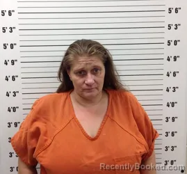 Mugshot of MISTY ANNE BOOTH