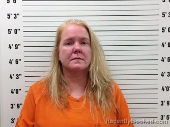 Mugshot of Melissa Ann Fisk booked in Pickens County, Georgia on September 9, 2026