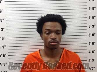 Booking photo from Pickens County, Georgia