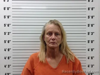 Mugshot of Mendy Michelle Mcdowell booked in Pickens County, Georgia on August 28, 2026