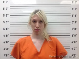 Mugshot of McKenzie N Payne booked in Pickens County, Georgia on August 3, 2026