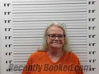 Booking photo from Pickens County, Georgia