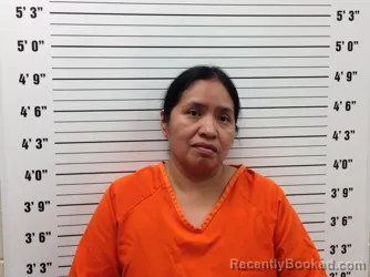 Mugshot of MARIA RAFAEL-BAUTISTA booked in Pickens County, Georgia on July 29, 2026