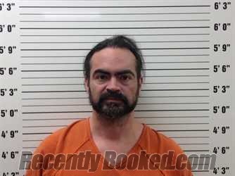 Booking photo from Pickens County, Georgia