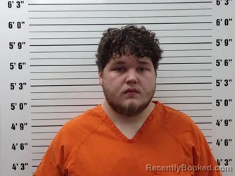 Mugshot of Riley Jacob Jenks booked in Pickens County, Georgia on June 20, 2026