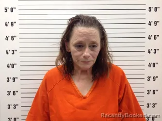 Mugshot of ROBIN GAYLE KING