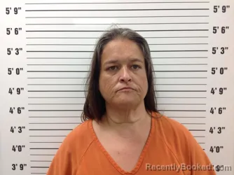 Mugshot of REBEKAH DAWN TILSON booked in Pickens County, Georgia on April 2, 2026