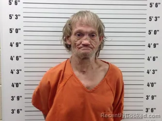 Mugshot of RON CHRISTOPHER TINSLEY