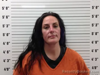 Mugshot of Robyn Deanna Van Luke booked in Pickens County, Georgia on October 23, 2026