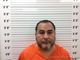 Mugshot of Roque Vega-Hernandez booked in Pickens County, Georgia on July 3, 2026