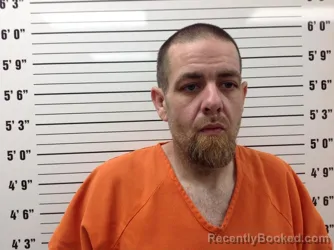 Mugshot of Shane F Gibson