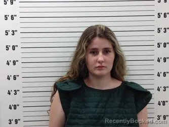 Mugshot of Shanda Mackenzie Meadows booked in Pickens County, Georgia on July 24, 2026