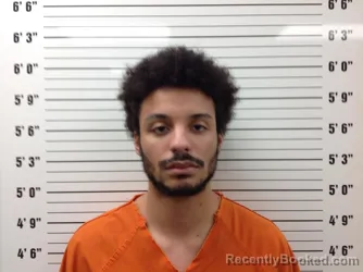 Mugshot of Sidney Wade Shorter