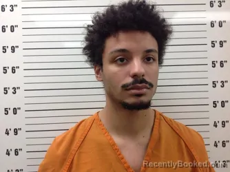 Mugshot of Sidney Wade Shorter