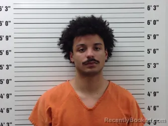 Mugshot of Sidney Wade Shorter booked in Pickens County, Georgia on June 12, 2026