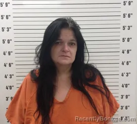 Mugshot of TERI LYNNE COOK