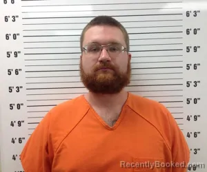 Mugshot of Tyler Davis booked in Pickens County, Georgia on August 17, 2026
