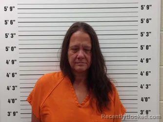 Mugshot of Tanya Elrod booked in Pickens County, Georgia on August 5, 2026