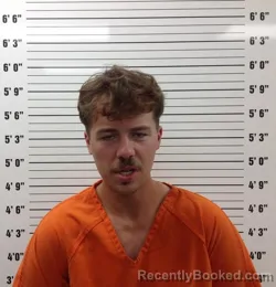 Mugshot of TRISTON KIMBALL LAROCHE booked in Pickens County, Georgia on June 24, 2026