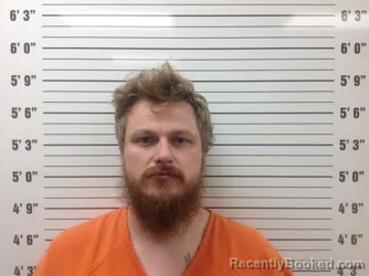 Booking photo from Pickens County, Georgia
