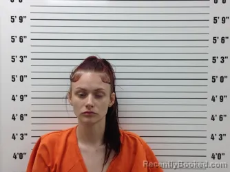 Mugshot of Taylor Dawn Ross booked in Pickens County, Georgia on July 1, 2026