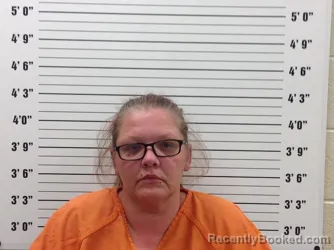 Mugshot of Tricia Loise Setser booked in Pickens County, Georgia on June 4, 2026