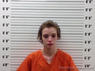 Mugshot of Taylor Turney booked in Pickens County, Georgia on July 12, 2026