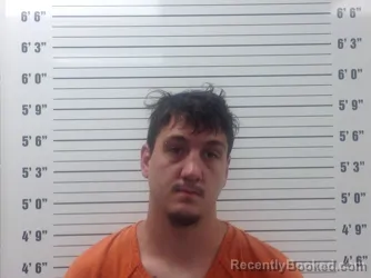 Mugshot of TYLER MASON YOUNG booked in Pickens County, Georgia on July 14, 2026