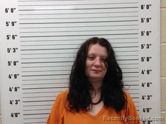 Mugshot of VANESSA JANICE BENNEFIELD