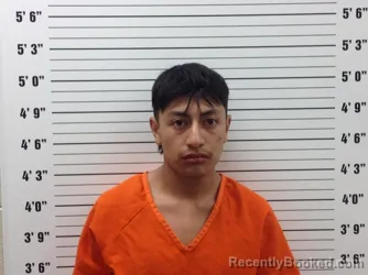 Mugshot of YONATAN ELVIS RAMIREZ booked in Pickens County, Georgia on April 22, 2026