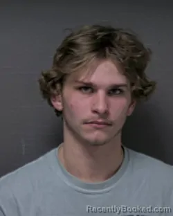 Mugshot of JORDAN RYAN BRADY