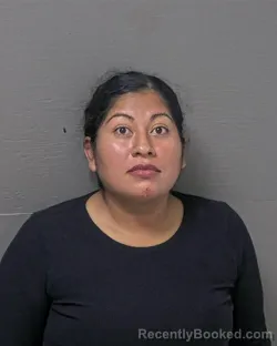 Mugshot of Maria Isabel Cruz booked in Dare County, North Carolina on August 24, 2026