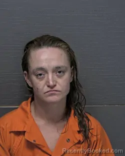 Mugshot of NICHOLE LYNN CLIFTON