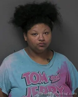 Mugshot of BRIEANA LANA DYSON booked in Dare County, North Carolina on July 13, 2026