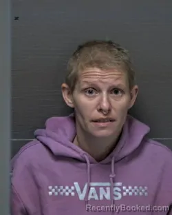 Mugshot of LINDSEY ELIZABETH GRAY