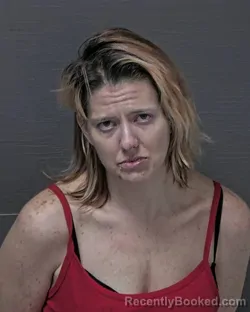 Mugshot of DARYL MONTRA HOSTETTER