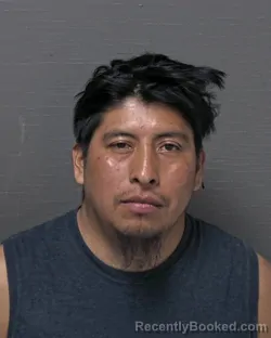 Mugshot of MAURO VELASCO HERNANDEZ