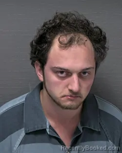 Mugshot of DYLAN EDWARD MCKINNEY