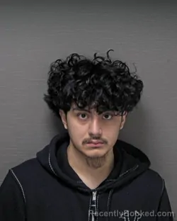 Mugshot of GERHARD STEVE MENENDEZ PERIANEZ