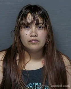 Mugshot of REYNA KARINA MEJIA BAIZA booked in Dare County, North Carolina on May 6, 2026