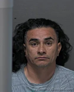 Mugshot of NELSON ENRIQUE PINEDA PERDOMO